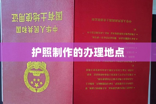 兴平护照制作的办理地点