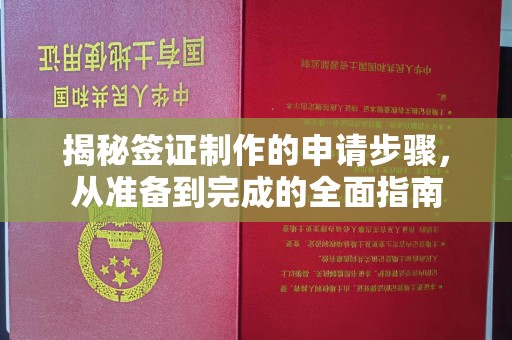 兴平揭秘签证制作的申请步骤，从准备到完成的全面指南